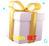 Receba seus bônus de boas-vindas no Tuim Bet