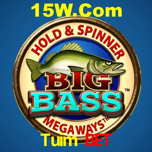 Desvendando o Mundo dos Jogos Virtuais na Tuim Bet