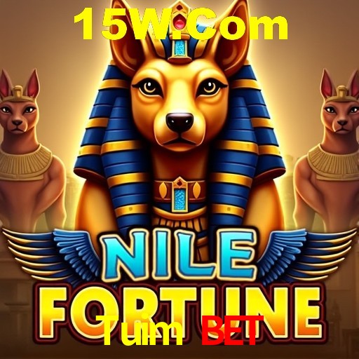 Descubra o Programa VIP da Tuim Bet: Vantagens Exclusivas para Jogadores