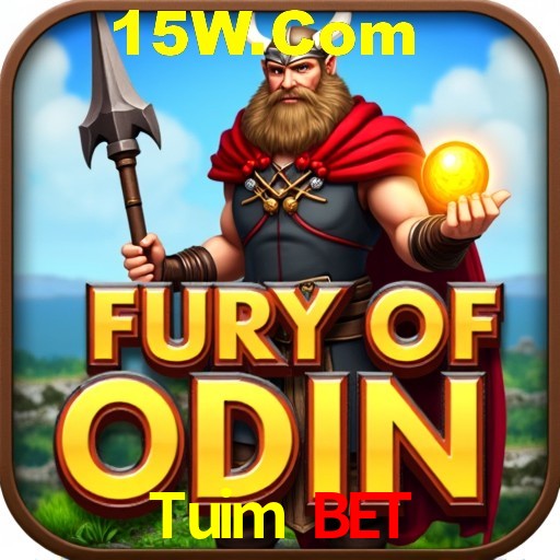 Explorando a Categoria de Eventos em Apostas na Tuim Bet