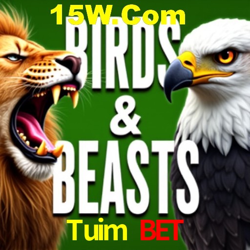 Descubra a Essência do Tuim Bet: Nossa História e Compromissos