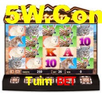 Tuim Bet
